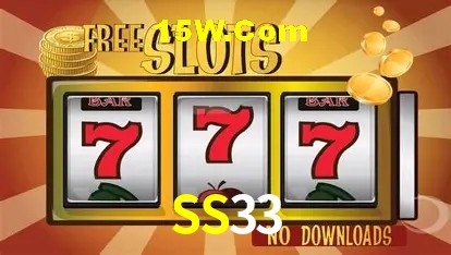 SS33 - Security