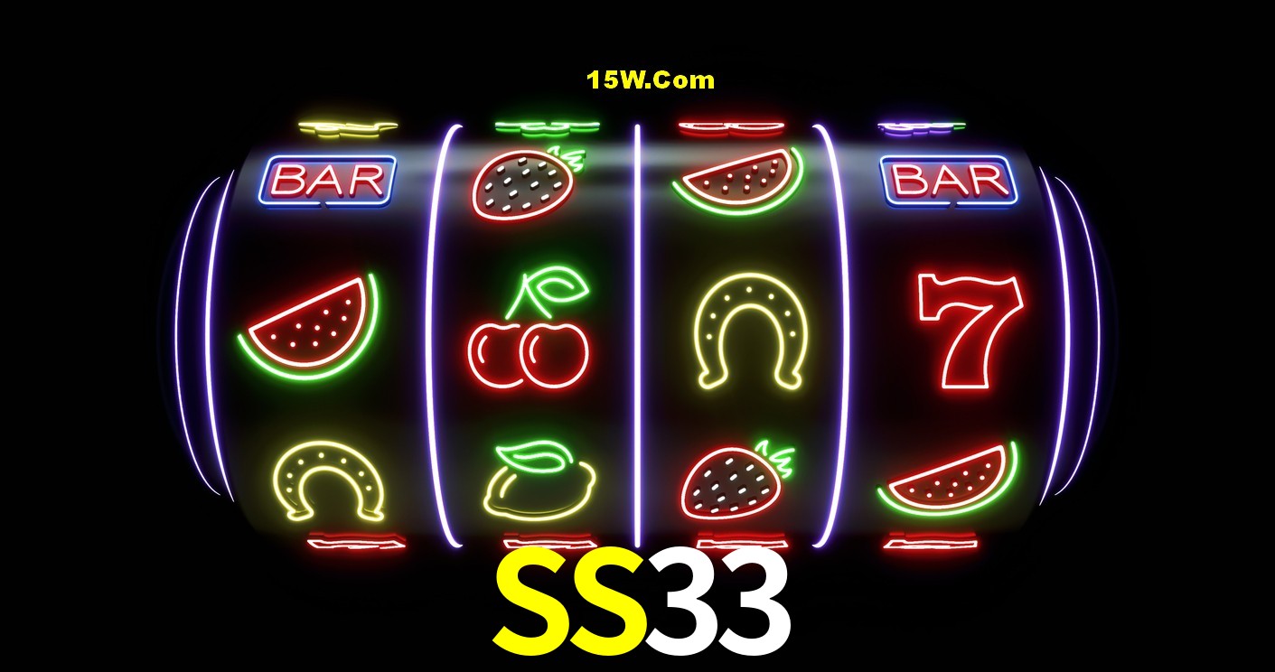 Security Systems SS33
