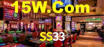 Premium Interface SS33