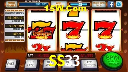 SS33 - Login Methods
